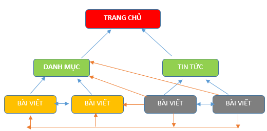 Cách Xây Dựng Cấu Trúc Website Hiệu Quả Chuẩn Seo Cách Xây Dựng Cấu Trúc Website Hiệu Quả Chuẩn SEO